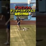 🐶デコピンと大谷翔平がドジャースタジアムでトレーニング！