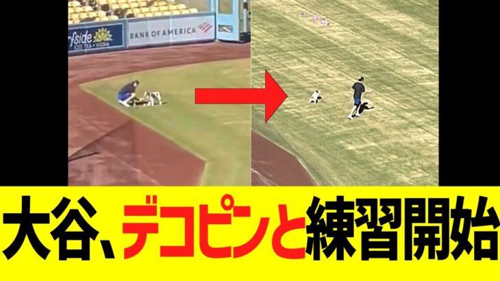 大谷、デコピンと練習開始