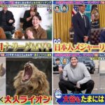 スポーツ衝撃プレー 2025.12.3　大谷翔平2025衝撃二度見プレーランキング