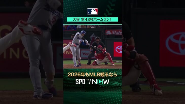 【日本人選手ホームラン集】大谷翔平が第43号ホームラン‼️8月12日 vsエンゼルス🔥#shorts #SPOTVNOWシリーズ