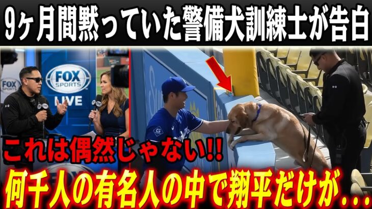 任務中の警備犬が大谷翔平だけに接触した理由――警備犬訓練士が9ヶ月ぶりに告白「何千人の有名人の中で翔平だけが…」言葉の壁を超えた5分間の再会とサインボールに込められた優しさ！