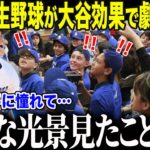 【大谷翔平】米国学生野球界が大谷効果でとんでもない事態に「皆が翔平に憧れすぎて…」米国アマチュア野球を革命的に変えた大谷の”衝撃発言”に世界が絶句【海外の反応/MLB/メジャー/野球】