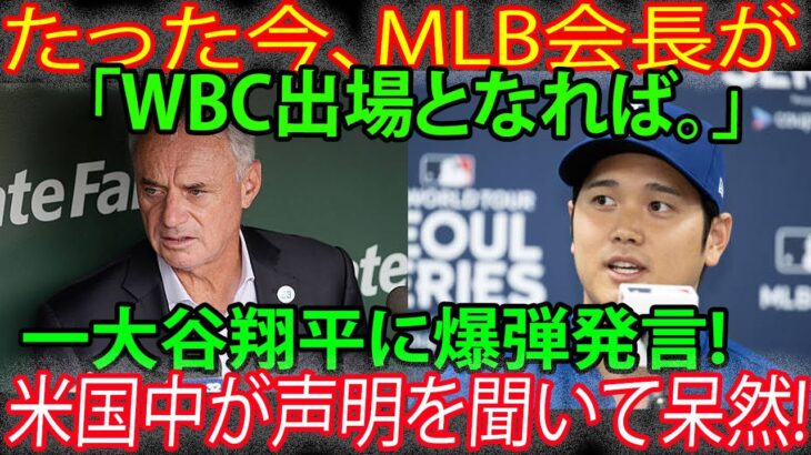 【速報】今、MLB会長が大谷翔平に衝撃発言「WBCに出場したら…」全米騒然！