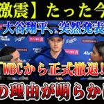【緊急速報】大谷翔平、WBCから完全撤退宣言!! 衝撃の真実が明らかに…日本中が凍りつく理由とは!?