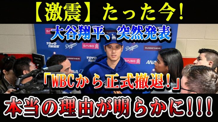 【緊急速報】大谷翔平、WBCから完全撤退宣言!! 衝撃の真実が明らかに…日本中が凍りつく理由とは!?