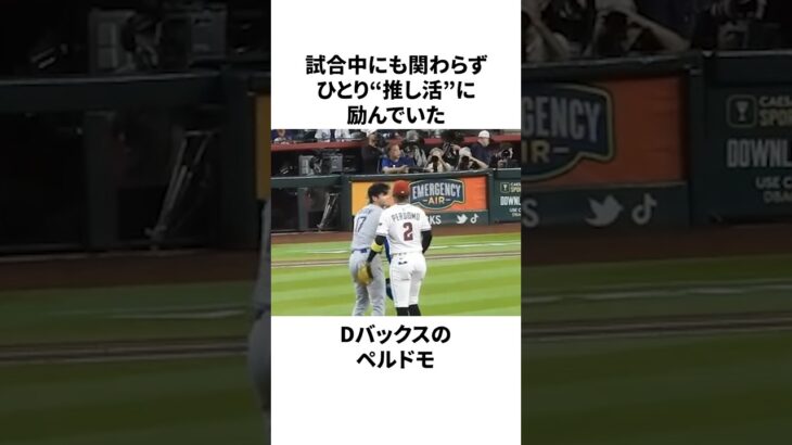 敵なのに尊敬しすぎ…大谷翔平ガチ勢のペルドモについての雑学　#大谷翔平 #mlb #プロ野球