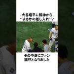 【ホント？】阪神から大谷翔平へ…突然の差し入れの中身が想定外すぎたことについての雑学　#大谷翔平 #mlb #wbc