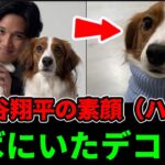 ハワイで見せた“大谷翔平の素顔”｜そばにいたデコピン