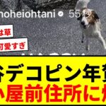 【話題】大谷翔平、愛犬デコピンの年賀状にファン歓喜！「犬小屋前」住所に爆笑の嵐wwww