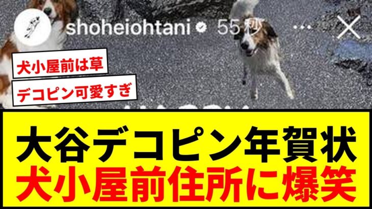 【話題】大谷翔平、愛犬デコピンの年賀状にファン歓喜！「犬小屋前」住所に爆笑の嵐wwww