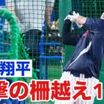 【大谷フィーバー】大谷翔平に名古屋が熱狂！試合前練習で柵超え連発の11本に誰もがあ然｜ワールド・ベースボール・クラシック（WBC）