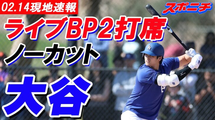 【大谷翔平2月14日現地速報】大谷翔平　初ライブBP２打席ノーカット