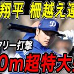 大谷翔平 １５０ｍ超特大弾！！今キャンプ初となるフリー打撃で柵越え連発！ドジャースキャンプ【2月18日】【MLB/大谷翔平/海外の反応】