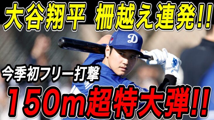 大谷翔平 １５０ｍ超特大弾！！今キャンプ初となるフリー打撃で柵越え連発！ドジャースキャンプ【2月18日】【MLB/大谷翔平/海外の反応】
