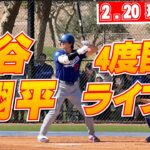 【大谷翔平2月20日現地速報】今キャンプ4度目のライブBP!!
