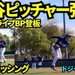 大谷翔平最速98マイルのライブBP！シアニ、テオスカー、パヘス、タッカーと対決！！シアニの打球が大谷直撃しそうで危なかった…！！【現地映像】2026年2月17日 春季キャンプ