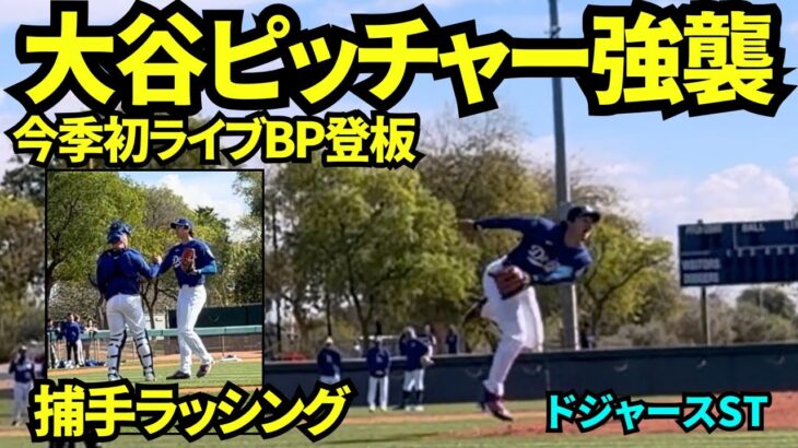 大谷翔平最速98マイルのライブBP！シアニ、テオスカー、パヘス、タッカーと対決！！シアニの打球が大谷直撃しそうで危なかった…！！【現地映像】2026年2月17日 春季キャンプ