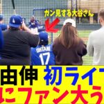 山本由伸、初ライブBPを大谷特等席で見学！ファン大うけｗ