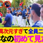 大谷翔平が異次元すぎて全員二度見ｗ全体練習がもはやイベント化！同僚もファンも大谷に集まっちゃうｗタッカーとのギャップが面白すぎｗイタズラ小僧発見される【最新／キャンプ／ドジャース／MLB／海外の反応】