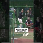 Shohei Ohtani putting on a show in batting practice for Japan 🎥  #baseball #wbc #japan