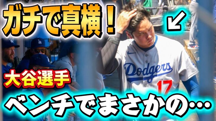 【閲覧注意】大谷翔平が近すぎて心臓に悪いｗ絶対に座るべき超VIP席の正体