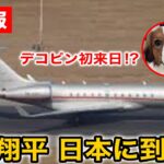 【緊急速報】大谷翔平がチャーター機で真美子夫人と娘と共に日本に到着！デコピンは初来日！？この後、侍ジャパンと合流へ！【WBC/海外の反応】