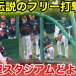 WBC前大会が見た伝説のフリー打撃！大谷豪快弾に名古屋がどよめき！現地映像