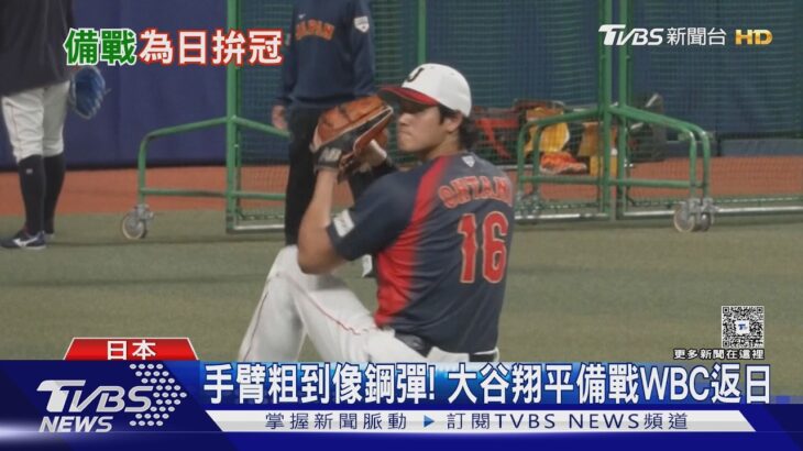 手臂粗到像鋼彈! 大谷翔平回日本 坦承衛冕WBC「有壓力」｜TVBS新聞 @TVBSNEWS01