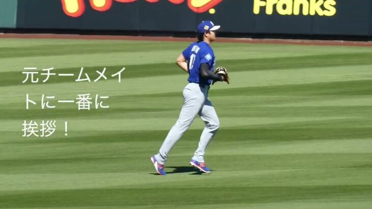 大谷翔平選手、エンジェルスの仲間と再会の挨拶！一番最初に一目散に走って行きました。#shoheiohtani #dodgers#angels#diablostadium#アリゾナキャンプ現地映像