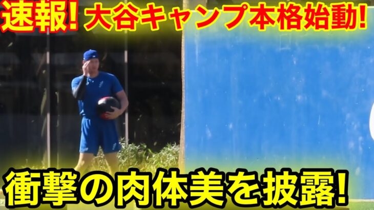 速報！大谷がキャンプ本格始動！衝撃の肉体美を披露！現地映像