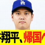 大谷翔平、帰国へ！！！！！