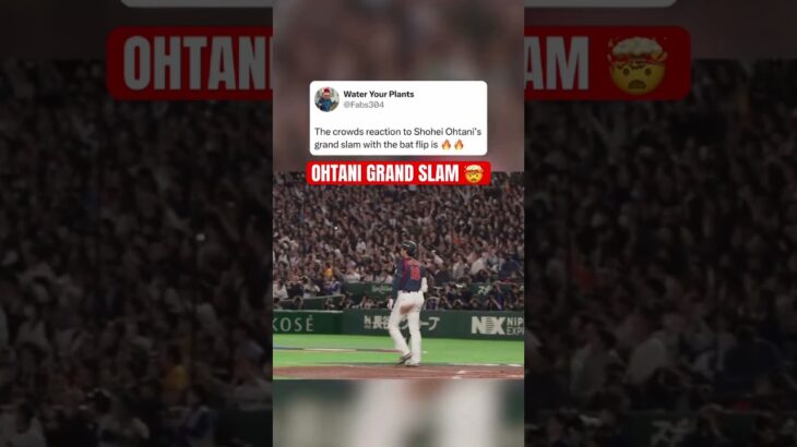 Shohei Ohtani bat flip after grand slam 🔥😮‍💨 (@MLB , @foxsports )