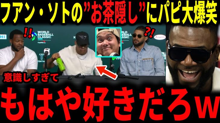 【大谷翔平】ドミニカ代表フアン・ソト選手の大谷選手を意識した”お茶隠し”にデビットオルティスが爆笑…レジェンドが今後のWBCの予想もしていく