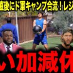 【大谷翔平】WBC準々決勝敗退も速攻でドジャースのキャンプで練習開始…あまりのストイックさにレジェンド驚愕