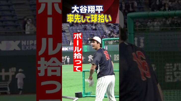 【大谷翔平が率先して球拾い】「ボール拾って」侍ジャパン打撃練習のワンシーンで見えた姿に感動｜韓国戦前取材｜ワールド・ベースボール・クラシック（WBC） #shorts