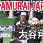 【WBC2026】大谷翔平フリーバッティング二宮和也渡辺謙も見学ホームラン連発（現地映像）