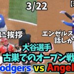 散髪した大谷さん、エンゼルスとのオープン戦でベンチと会話、元相棒と再会。タッカーにiPad操作教えたり、ファールを全力で避ける！！