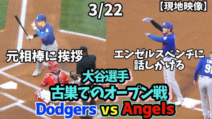 散髪した大谷さん、エンゼルスとのオープン戦でベンチと会話、元相棒と再会。タッカーにiPad操作教えたり、ファールを全力で避ける！！