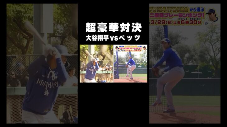 #大谷翔平🆚#ベッツ の超豪華対決が実現🔥‼️ #shorts #MLB #ドジャース