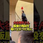 🍚大谷翔平投手がご飯やさんの階段を小走りで駆け上がる！