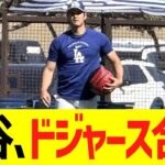 大谷、ドジャースキャンプに再合流する