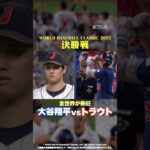 全世界が熱狂！大谷翔平vsトラウト！