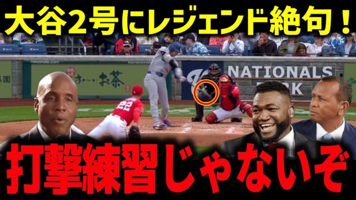 大谷翔平2号で敵地ナショナルズ騒然「まさかここまでとは…」雨の神対応にレジェンドも騒然