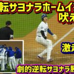 大逆転‼️サヨナラで激走するカッコ良すぎる大谷翔平🤩タッカー最高🙌 【現地映像】4/27vsマーリンズShoheiOhtani Walk-Off