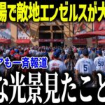 大谷登場で赤字100億円のエンゼルスが大パニック！「ショウヘイを返してほしい」トラウトのトレード説浮上でエ軍が完全崩壊⁉【海外の反応/MLB/メジャー/野球】