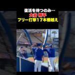 大谷翔平フリー打撃で17本柵越え🔥復活を待つのみ✨