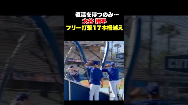 大谷翔平フリー打撃で17本柵越え🔥復活を待つのみ✨