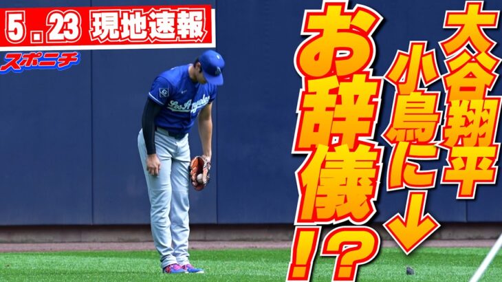 【大谷翔平5月23日現地速報】思わぬ“ハプニング”に笑顔 見守ってくれた小鳥と見つめ合い、お辞儀で練習締める