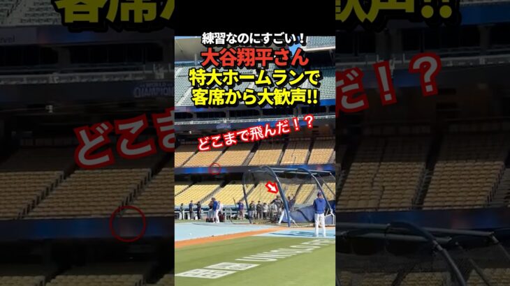 【7号はよ】大谷翔平が特大ホームラン！打撃練習なのに歓声と拍手が巻き起こる！