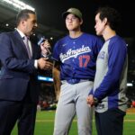 Shohei Ohtani gives perspective on hit into protective netting at Angel Stadium